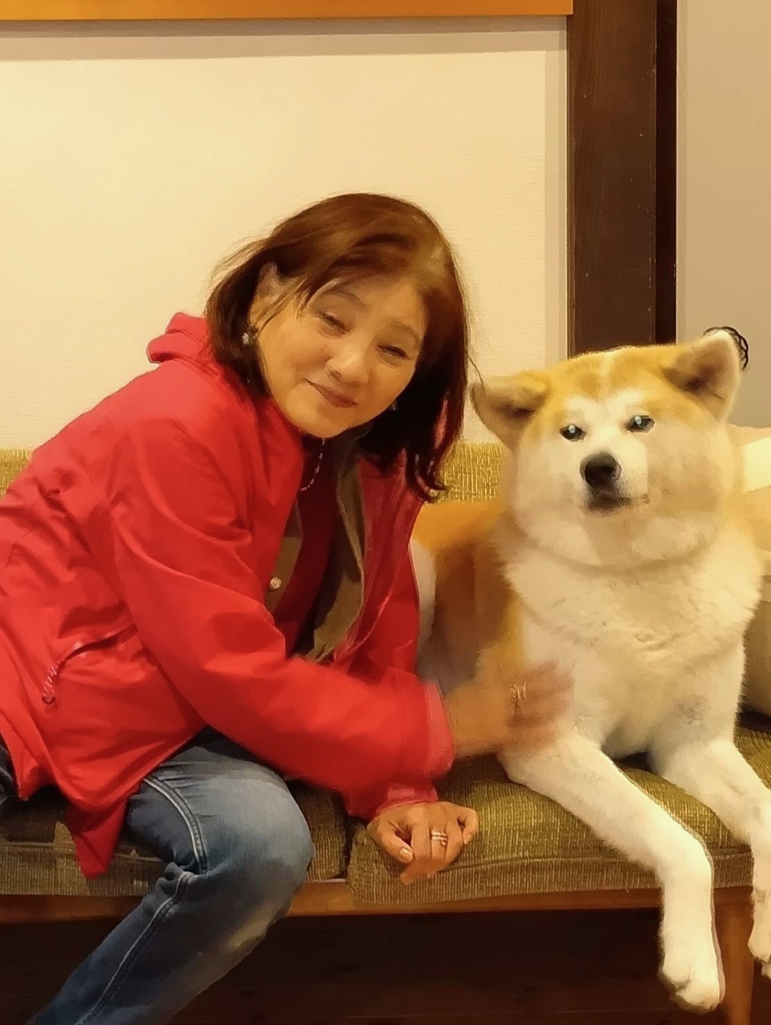 ゴールデンレトリバーのブーマー君